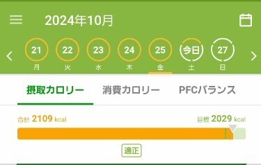 スクリーンショット 2024-10-26 183403.jpg