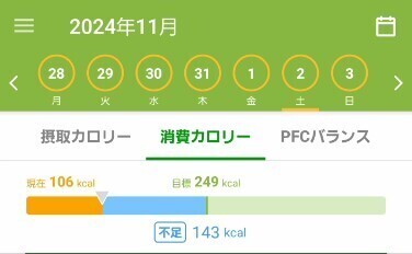スクリーンショット 2024-11-04 125633.jpg