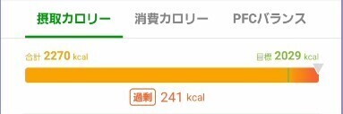 スクリーンショット 2024-12-13 165317.jpg