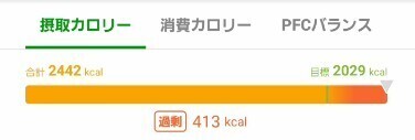 スクリーンショット 2025-01-21 132805.jpg