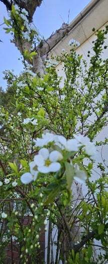 o0215052415557259939.jpg