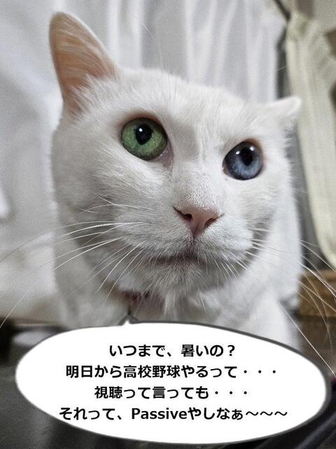 o0720096015471656701.jpg