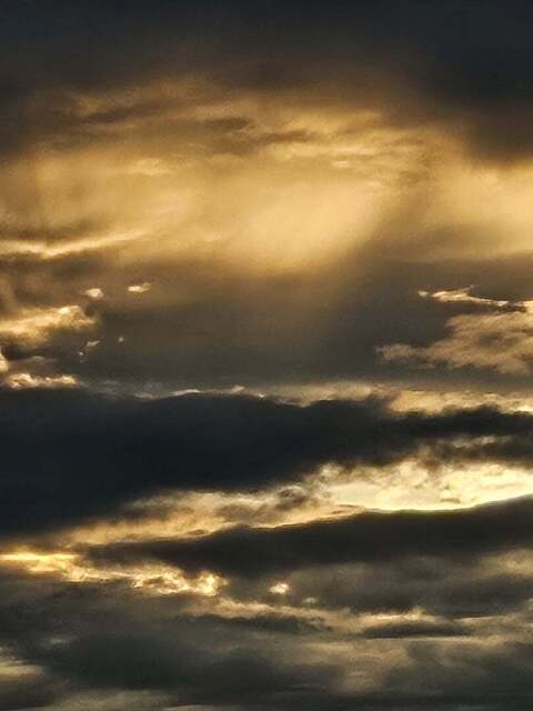 o0810108015458511524.jpg